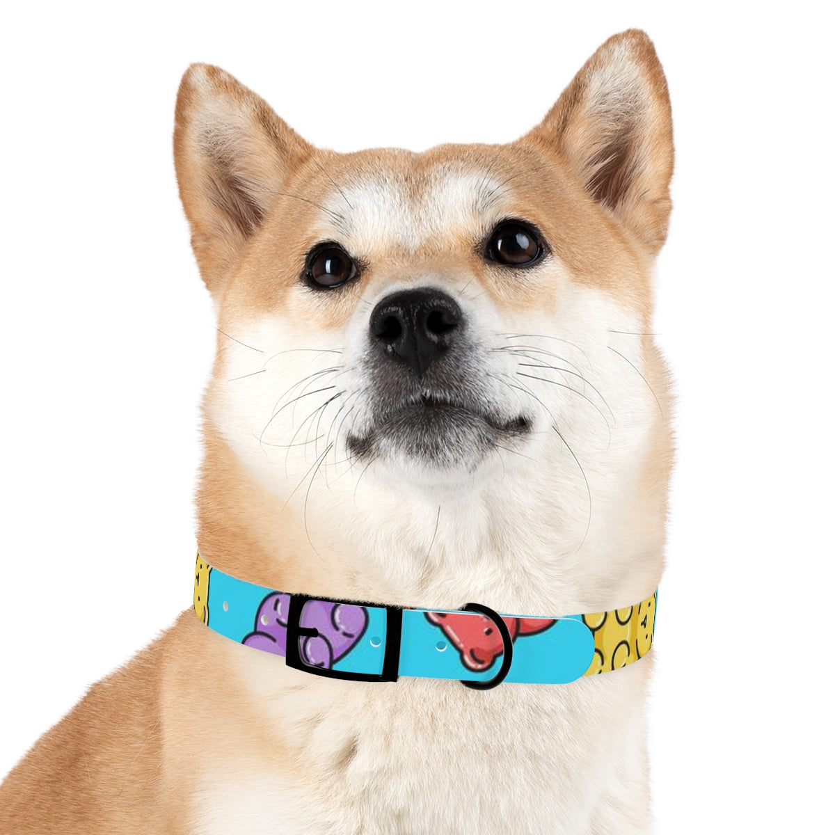 Gummy Madness Dog Collar
