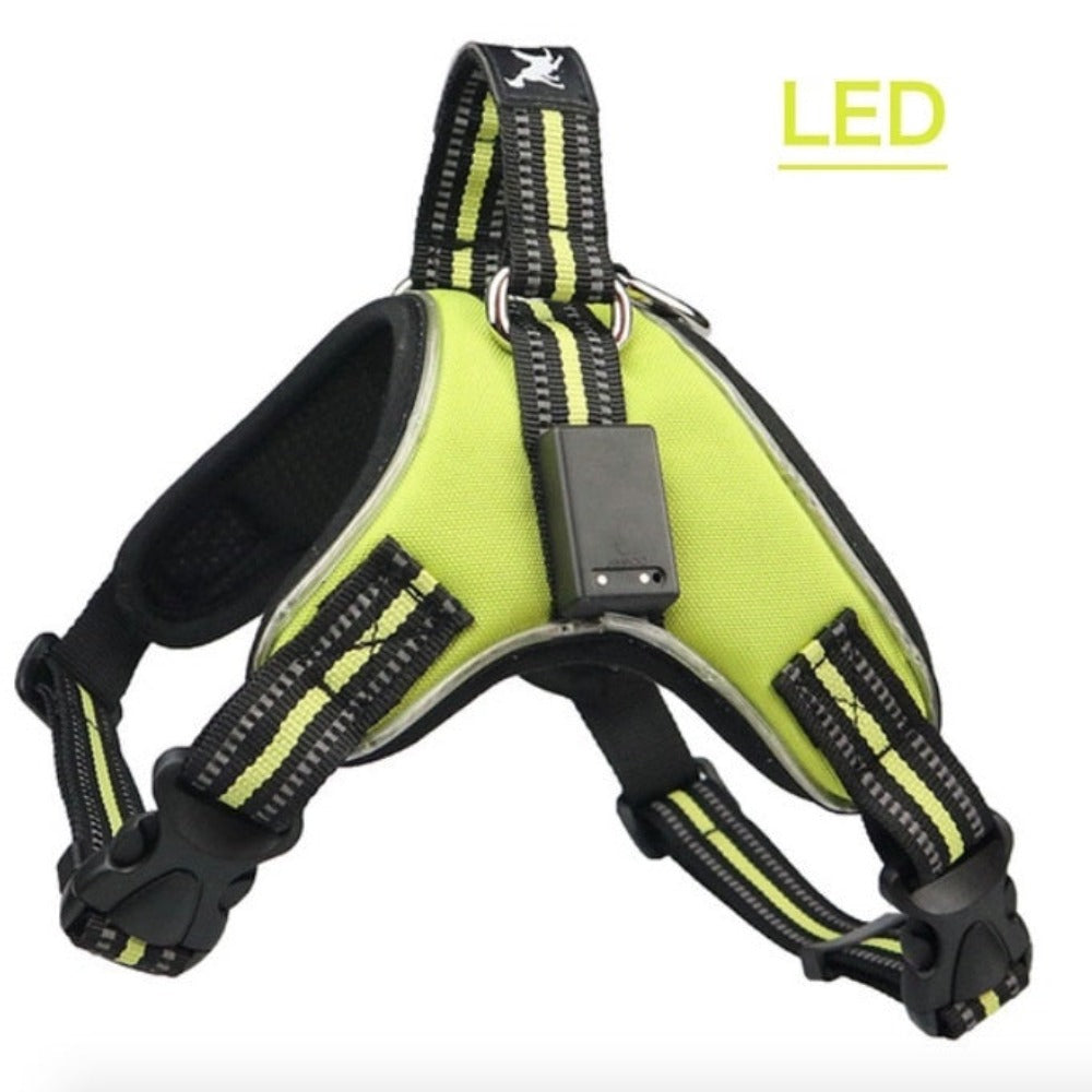 Rechargeable LED  Pup Harness