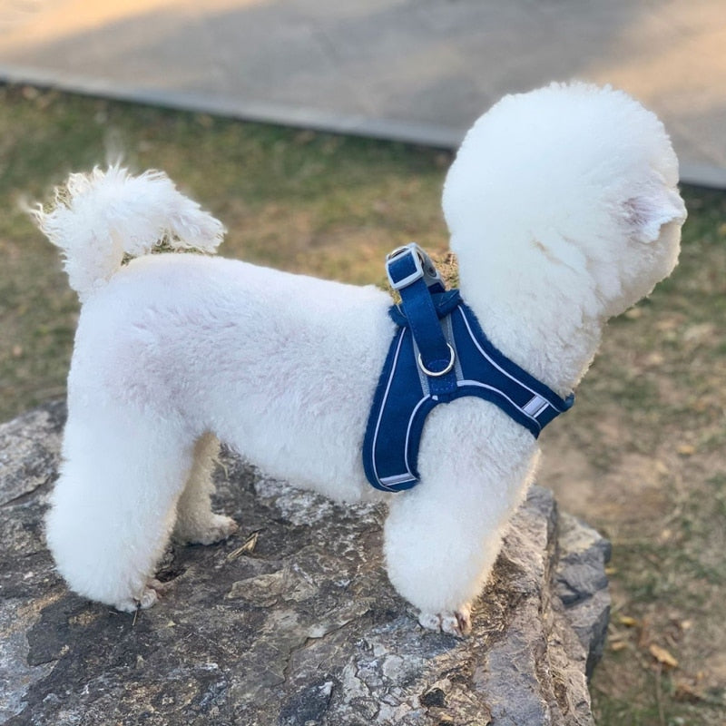 Soft Velvet Reflective Harness With Leash