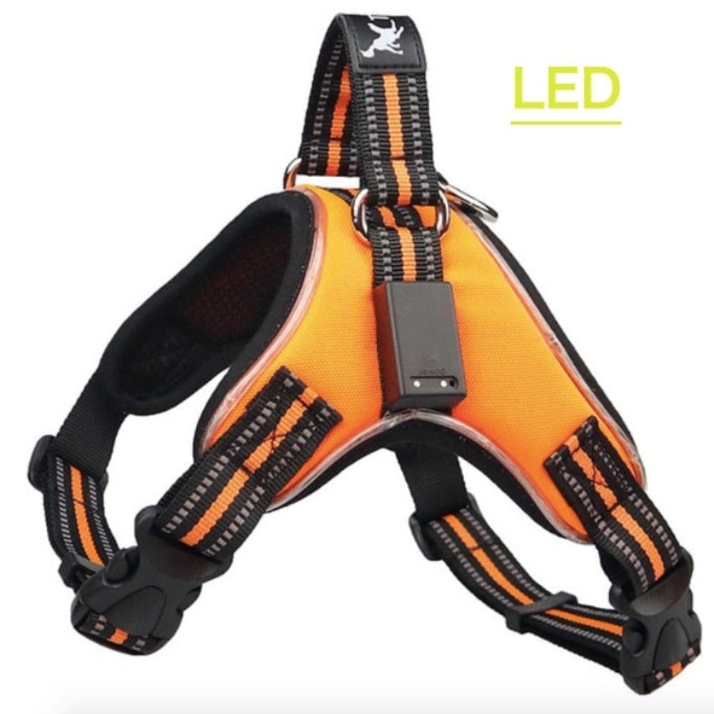 Rechargeable LED  Pup Harness