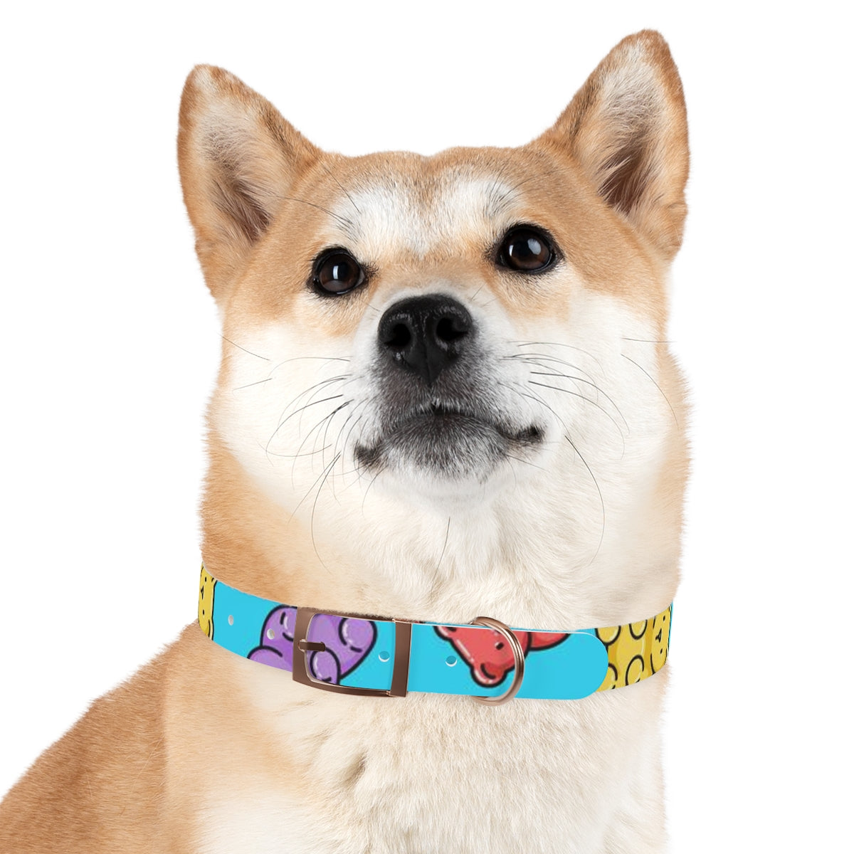 Gummy Madness Dog Collar